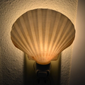 Fan-Shaped Seashell Plug-In Night Light, Coastal Style Wall Socket Ambient Lamp For Interior Decor And Gentle Night Illu