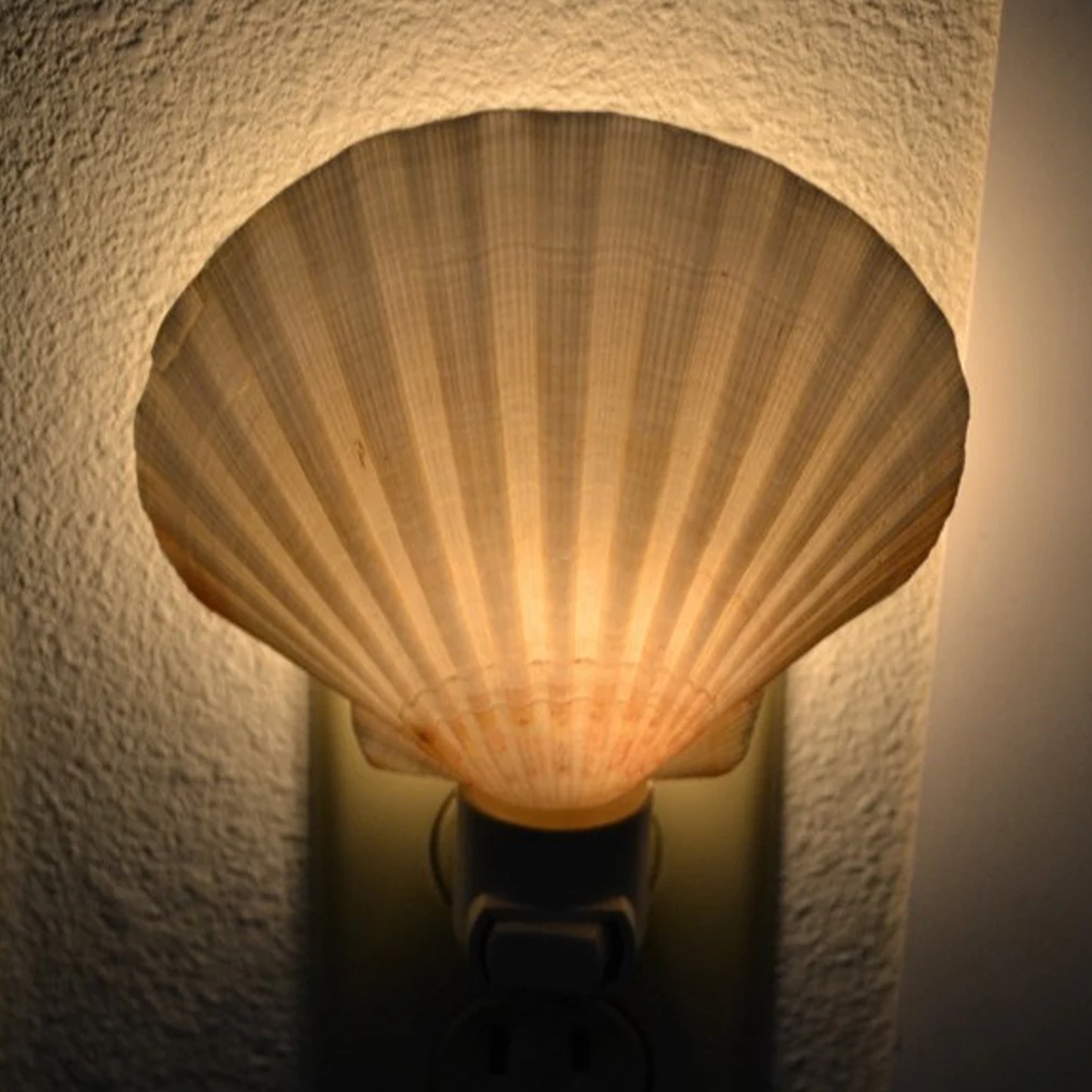 Fan-Shaped Seashell Plug-In Night Light, Coastal Style Wall Socket Ambient Lamp For Interior Decor And Gentle Night Illu